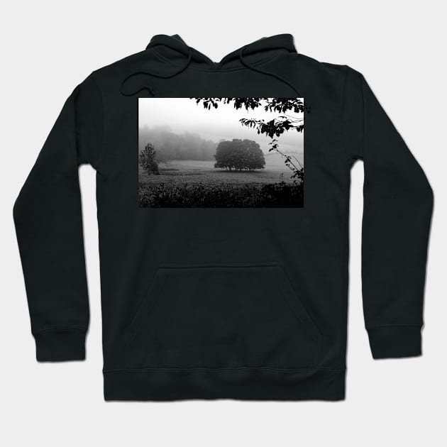 The Grove in fog Hoodie by heidiannemorris